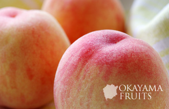 岡山産・早生白桃・はなよめ