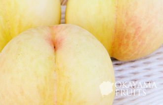 岡山の新しい白桃・おかやま夢白桃