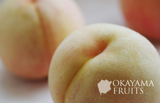 岡山の伝統的な白桃・本白桃