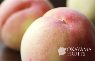 岡山の甘い白桃・川中島白桃