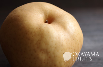 岡山の贈答用梨・愛宕梨