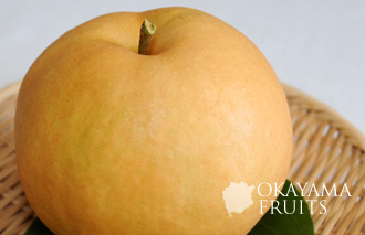 岡山の美味しい梨・新高梨