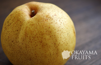 岡山の珍しい西洋梨・パスクラサン