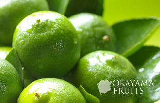 岡山県瀬戸内市の安心レモン