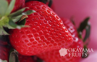 岡山の甘くて大きな苺